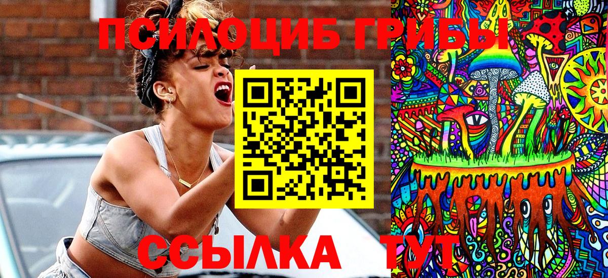 Псилоцибиновые грибы Magic Shrooms  Вход с VPN  Хасавюрт 
